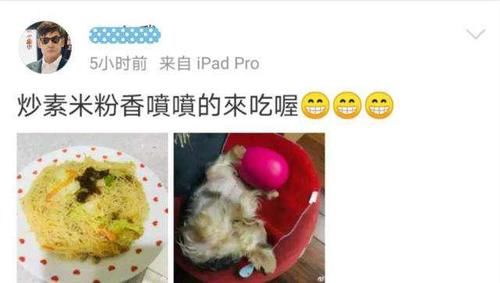 豪门媳妇，感情成谜，未来将何去何从