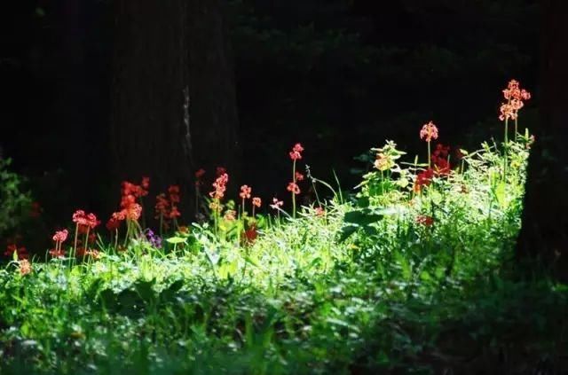 春节放假至元宵节?五一放7天！？赶快拿好山西最佳全年旅行表