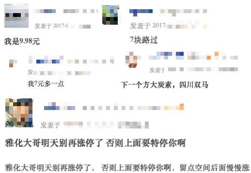 2017年牛股排行榜诞生!雅化集团排名第3,小散