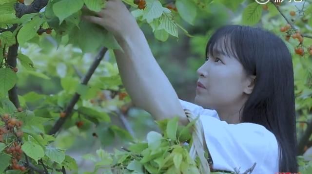 李子柒丨视频播放超30亿,2017第一网红!网友: