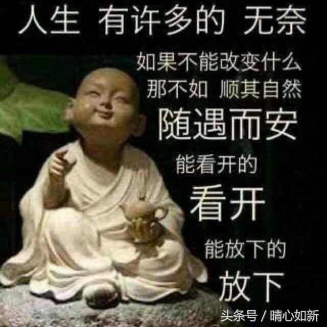 (配图全来自网络,如不妥可删)