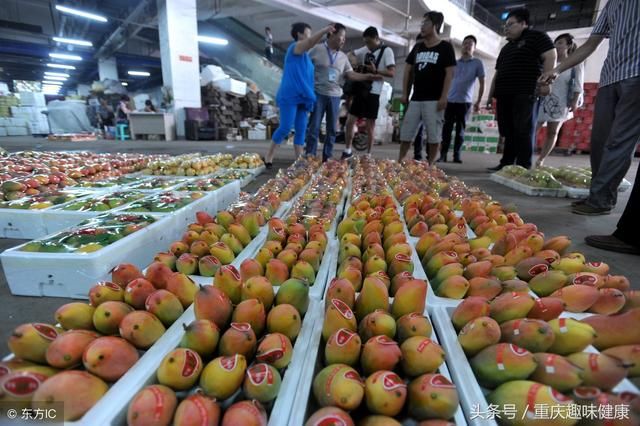 市民公路边免费采摘水果，园林部门称“有毒勿食用”