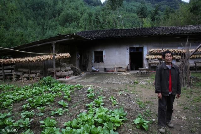 在农村，这3类宅基地需要农民交钱，看看有你吗？