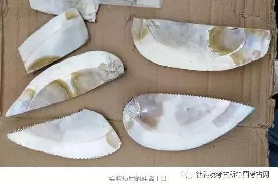 第一期中外合作制骨实验考古工作坊 在山东大