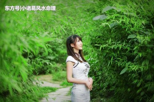 老婆娶到这几个生肖，婚后事业飞黄腾达，娶回家，前途无量