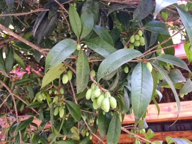 清明踏春冷门景点：看彩林、赏桂花，观峡谷，玩雪水，拒绝人挤人