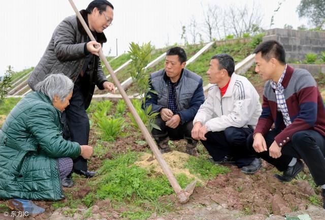 村干部月工资标准出炉了，村民都抢着当村干部？