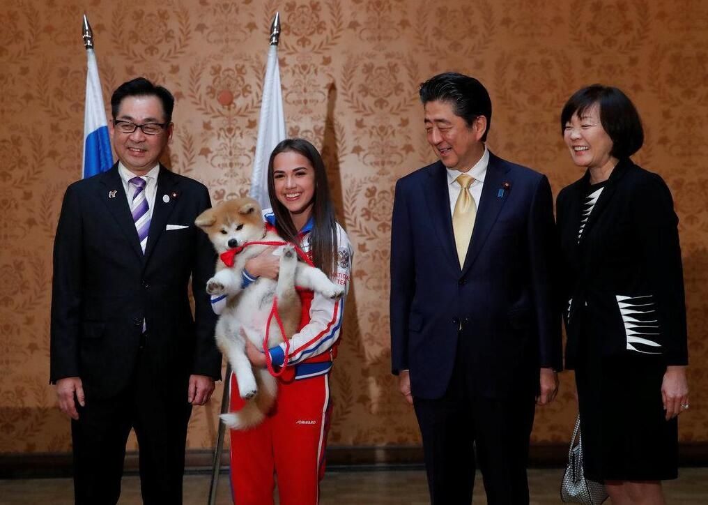 又送狗！日本向俄女子花滑冠军扎吉托娃赠送秋田犬