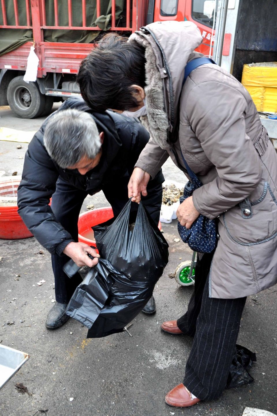 实拍年后青岛海鲜早市 价格稳中有降 红头鱼7块一斤 贝类走俏市场