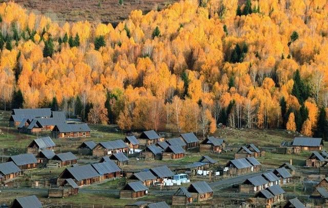 新疆喀纳斯最佳旅游时间