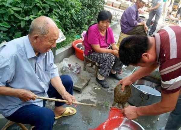 老人集市上给儿子卖王八，不敢碰老鳖，带了一个神器！