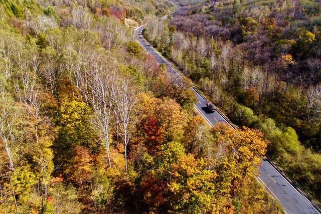 区的抗联烽火岁月 吉林省红石林区抗联密营概