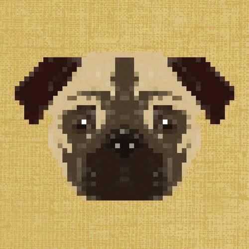 手机摄像头照不到