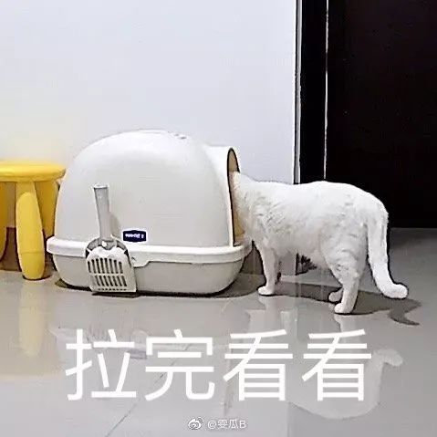 大型拉屎偷拍现场!这是一条有女生的v这是…网名味道的骚图片