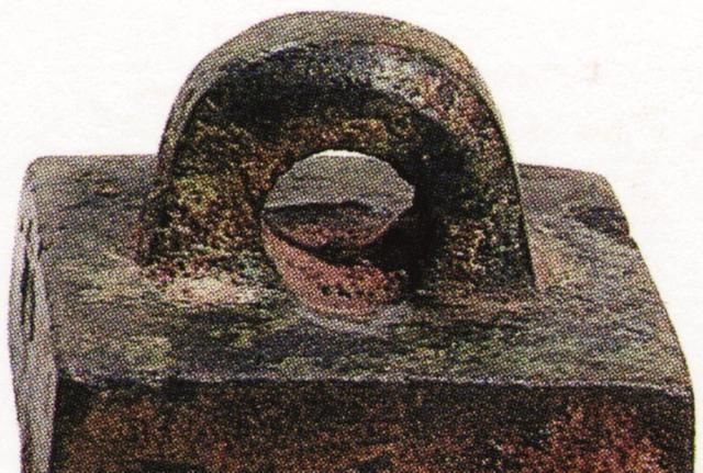 什么是政治权利