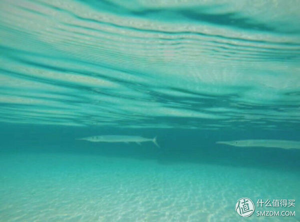 头脑一热，去马来西亚热浪岛了