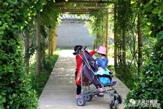 五一小长假第二天！再不玩就要等国庆了~