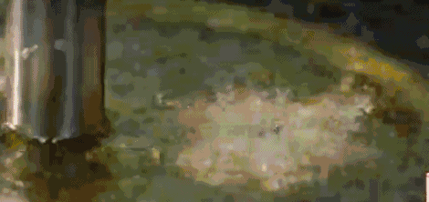 《舌尖》回归!攒了4年的口水，居然忍不住想去买口锅……