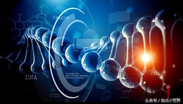 干细胞--未来医学的新方向
