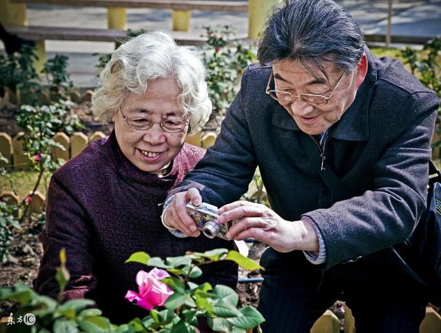 准预测选择一个季节，就能预测你晚年是儿孙满堂还是孤苦伶仃？