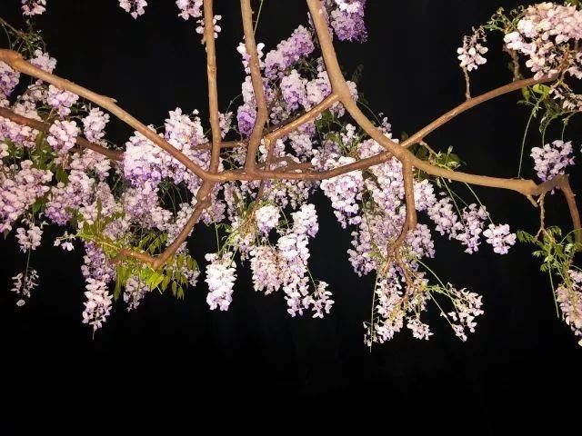 你家的盆栽到啦！快来领取！