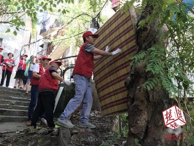 为他们点赞!16支志愿服务队共同清洁美丽家园