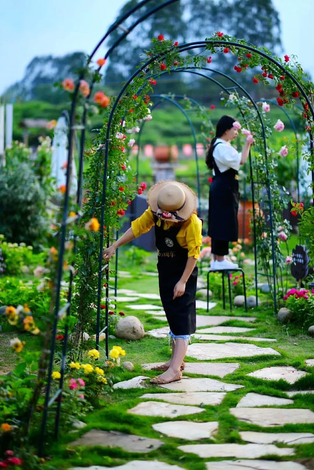 一对夫妻把青白江农家改造成“田园牧歌”，从此家有美景何必远方