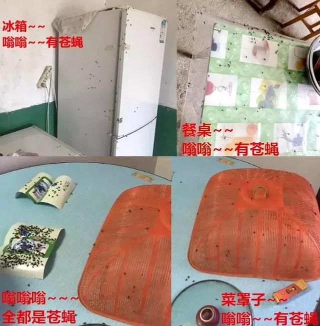 如此恶心、触目惊心的一幕，竟在荆门多个地方发生……