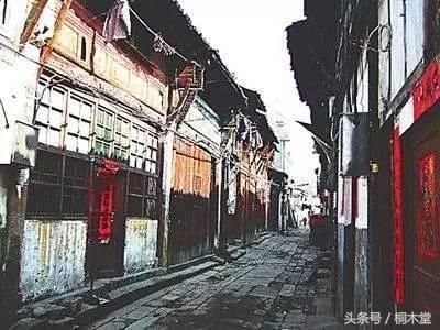 茶叶大盗罗伯特福琼之罪