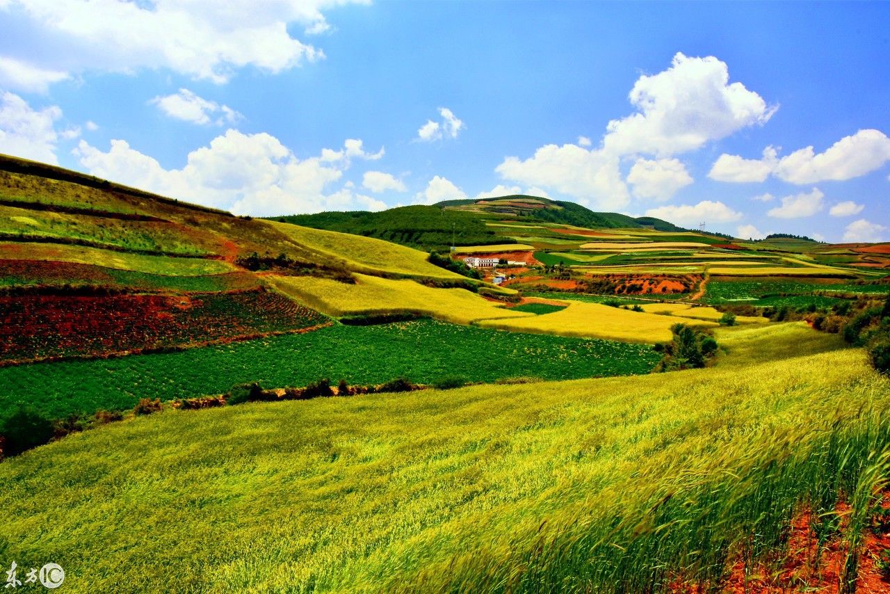 昆明东川红土地,从昆明到达景点中心约250公里