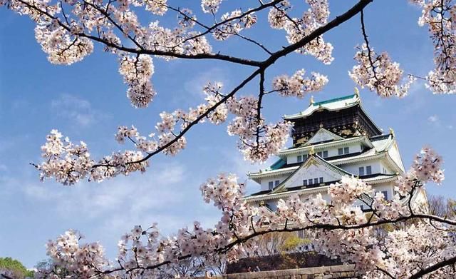 在日本旅游时，若见到有人挥动橙色旗子，别多想，赶紧跑就对了