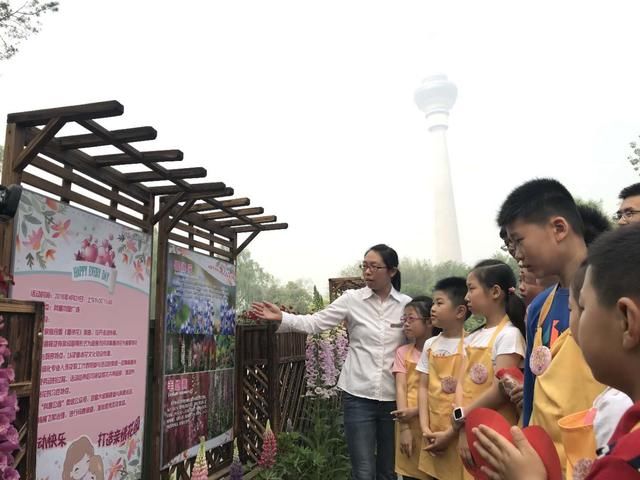 “五一”假期玉渊潭公园首邀亲子家庭栽植鲁冰花