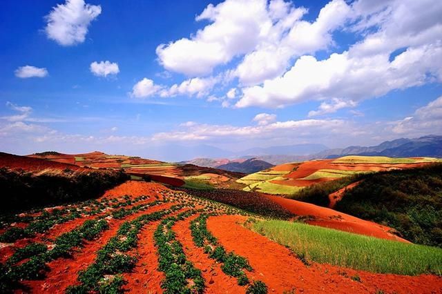 5月云南如此美丽，阳光正好微风不燥，云南大理丽江香格里拉旅游