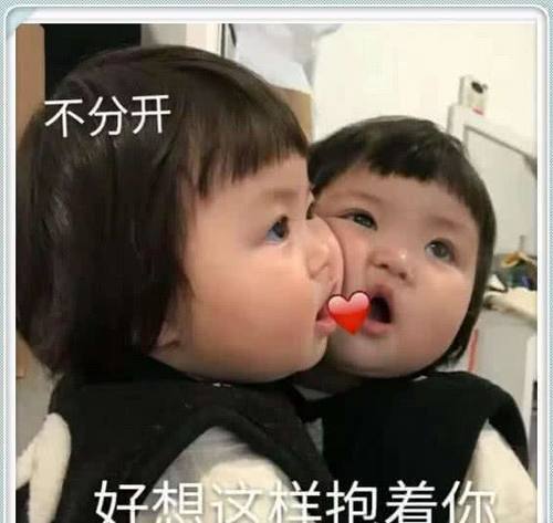 哄姑娘全集:久闻表情有方治家,鄙人今后愿闻女友包大表情火腿图片图片