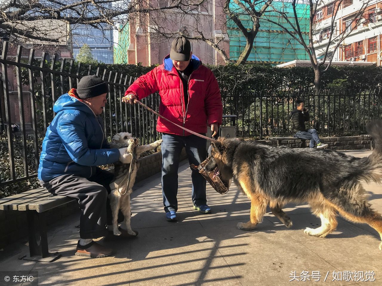 农村老人与城市老人16张对比图,环境不同,日子过得也不同