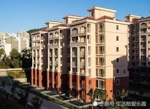 基本户和一般户