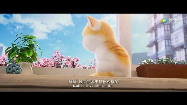 《猫与桃花源》:流浪倦了的终点是家乡!