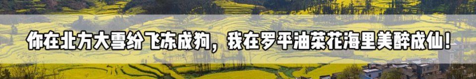 昆明人挺住!返程“堵堵堵”大片震撼上演!更可怕的是…