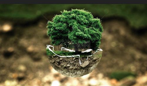 江门长优实业:动力蓄电池回收利用正式启动