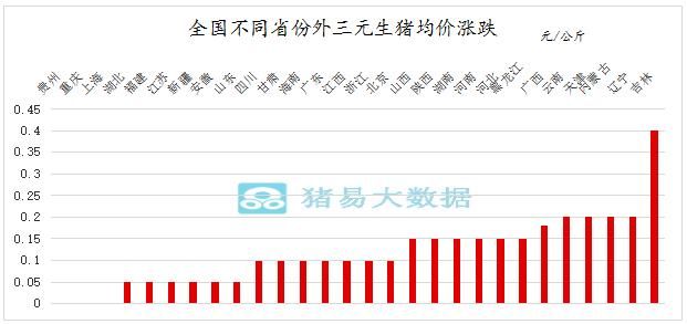 连涨8天！猪价能否一路上行？