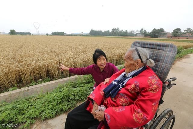 婆媳关系:婆婆是妈吗?