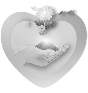 开家长会谁的妈妈