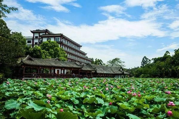 用数据发现四川最生态的旅行地就在乐山的……