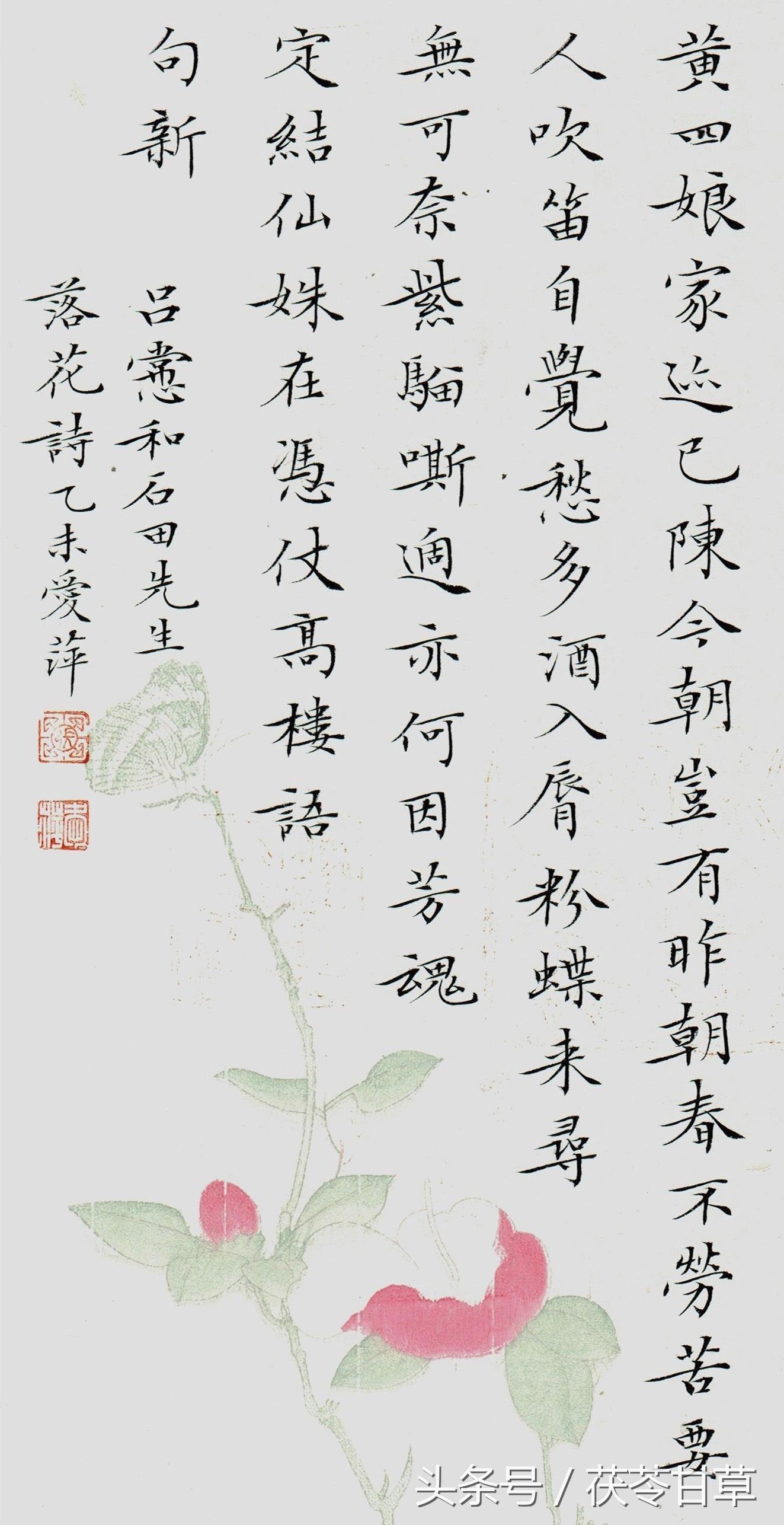 t01dc79d2d51bc53843.jpg