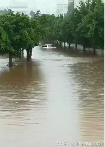 暴雨袭击！赣州多地遭遇洪水，上百人转移！市长紧急调度防汛工作