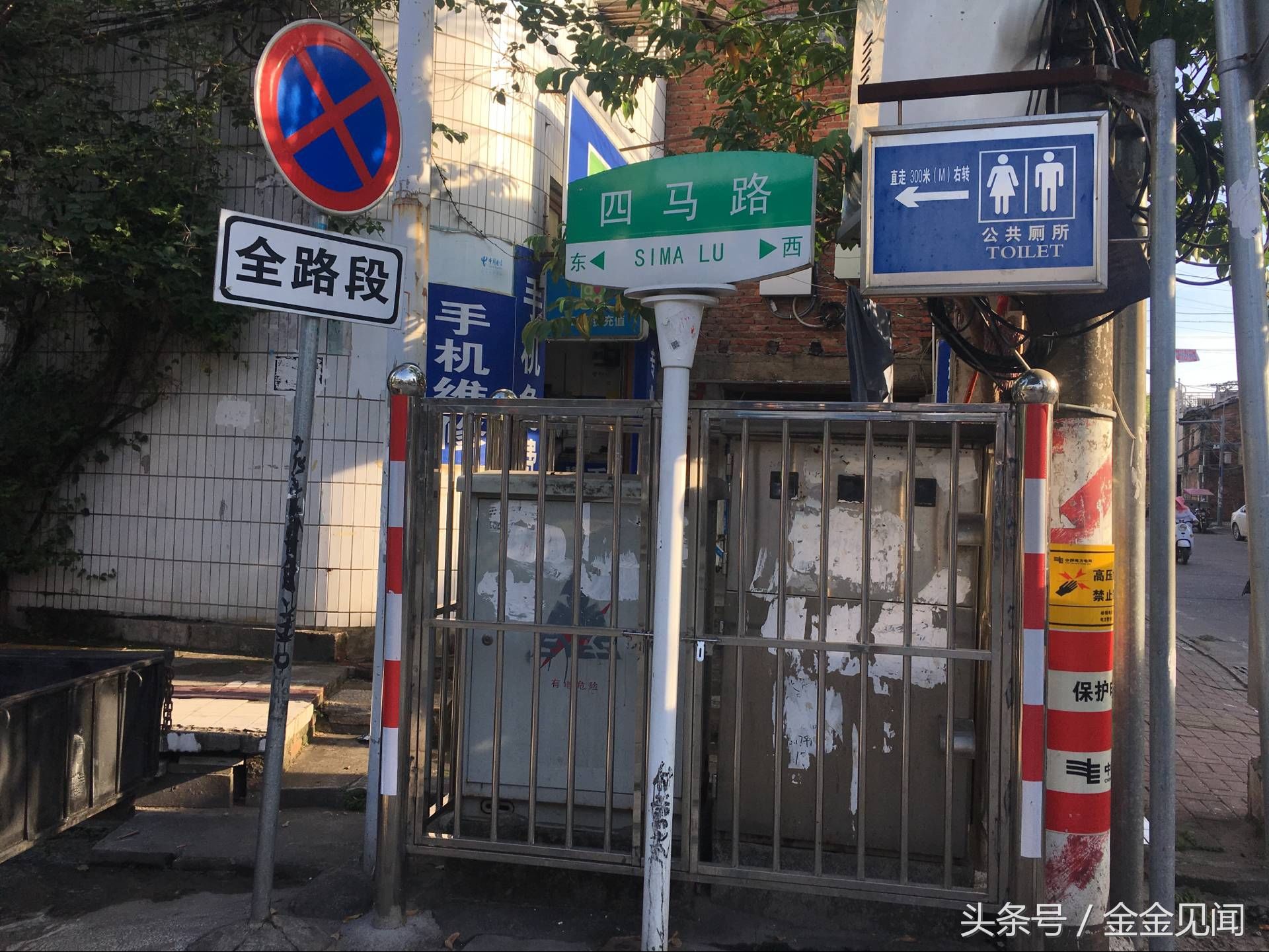 实拍广西钦州:四马路朽木也长得茂盛，见过这么伟大的树吗?