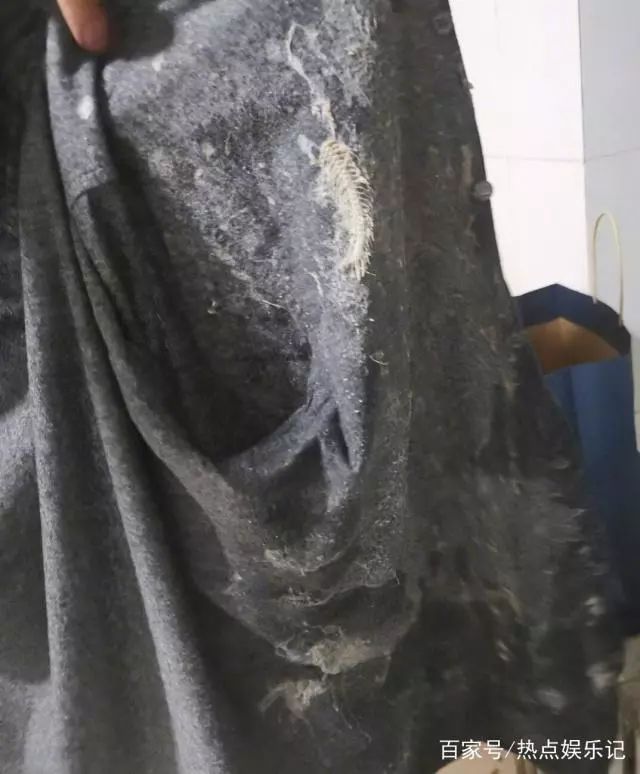 名师张雪峰被泼异物, 忍着恶臭完成讲座!他曾这样苦劝高中生