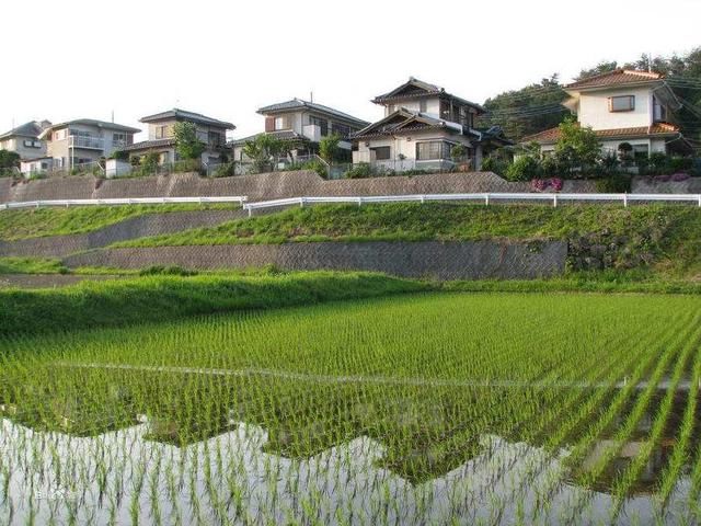 日本农村改造为什么成功？对比咱们新农村建设就差在这2点上！