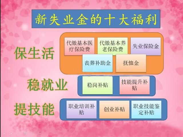 工作时已经交了失业保险,但是失业了却不能领取,这是为什么呢?
