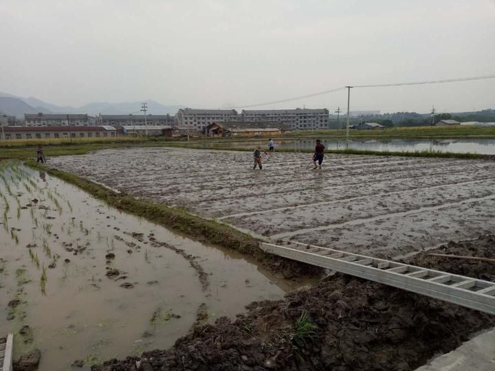 让农民不再只能围着土地转 看龙泉剑池街道如何助农增收？